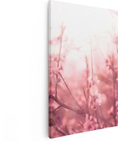 Artaza Canvas Schilderij Roze Bloesemboom Met Zonneschijn - 60x90 - Foto Op Canvas - Canvas Print