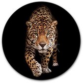 Tuincirkel Panter - WallCatcher | Tuinposter rond 140 cm | Buiten muurcirkel Wild Panther