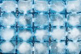 ijsblokzakjes - ijsblokjes maken - transparant zakje - 12 stuks - ijsklonten - ijsklontzakjes - vrieszakken - 240 ijsblokjes - IJsklontjes - ijsblokjes maken