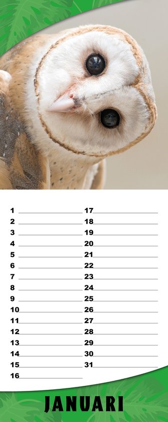 Dieren In De Vrije Natuur - Verjaardagskalender 13 X 33 cm