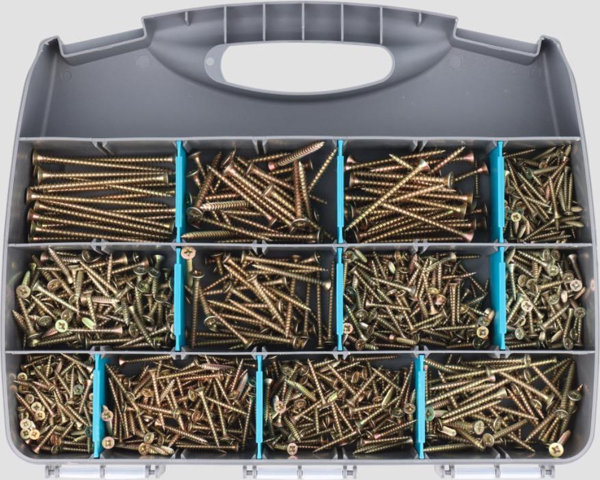 Vis boîte de rangement avec 1.000 vis à bois , y compris les bits