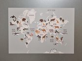 Muursticker wereldkaart dieren - sticker kinderkamer - dieren wereldkaart