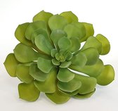 Kunstplant - Aeonium - Vetplant - Takje - Groen - ø23 x 20 cm hoog