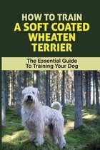How To Train A Soft Coated Wheaten Terrier: The Essential Guide To Training Your Dog