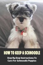 How To Keep A Schnoodle: Step By Step Instructions To Care For Schnoodle Puppies