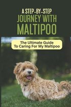 A Step-By-Step Journey With Maltipoo: The Ultimate Guide To Caring For My Maltipoo