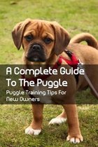 A Complete Guide To The Puggle: Puggle Training Tips For New Owners