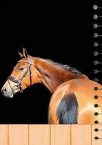 Cover-Setje-Paarden-#7-   -voor-los-bij-te-bestellen-A5-school-Plan-Agenda-van-CitrusPers