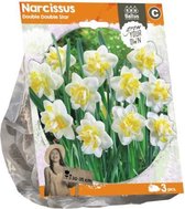 Plantenwinkel Narcissus Double Double Star bloembollen per 3 stuks