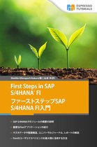 First Steps in SAP S/4HANA Financial Accounting