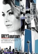 Grey's Anatomy - Seizoen 14 (DVD)