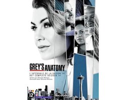 Grey's Anatomy - Seizoen 14 (DVD)