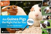 Are Guinea Pigs the Right Pet for You