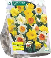 Plantenwinkel Narcis Trompet Mix bloembollen per 12 stuks