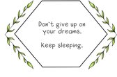 Dont give up on your dreams  - Poster A3 - Decoratie - Interieur - Grappige teksten - Engels - Motivatie - Wijsheden