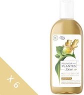 [Partij van 6] DOVE natuurlijke gember douchegel - 250 ml