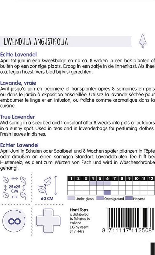 Hortitops - Echte Lavendel - Lavandula Officinalis - Hortitops zaden