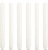 Cactula | Dinerkaarsen - Dikke kaarsen - Wit - 30 x 2.6 cm - 6 stuks - 20 Branduren
