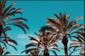 Walljar - Palmbomen Blauwe Lucht II - Muurdecoratie - Poster met lijst