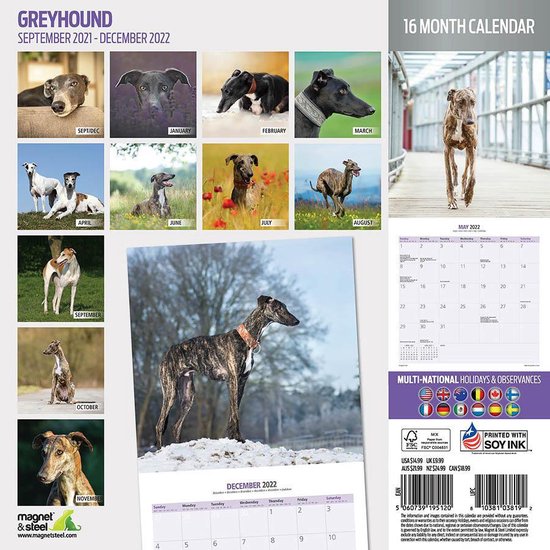 Greyhound Kalender 2022