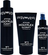 Attitude Hair Dye Haarverzorging Holyplex set