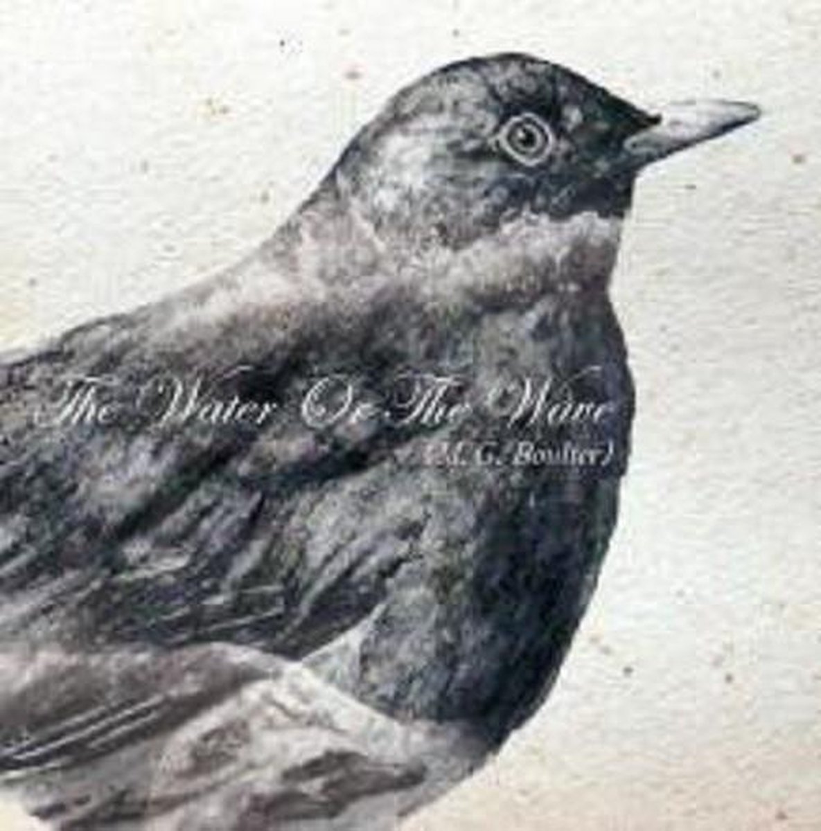 M.G. Boulter - Water Of The Wave (CD)