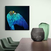 Poster Parrot Wings - Plexiglas - Meerdere Afmetingen & Prijzen | Wanddecoratie - Interieur - Art - Wonen - Schilderij - Kunst
