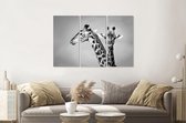 Schilderij -  Giraffen zwart/wit, 120x80cm, 3 luik, premium print