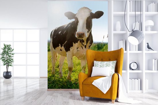 Papier peint - Papiers Papier peint photo Vache - Animaux - Macro - Soleil - Largeur 145 cm x Hauteur 220 cm