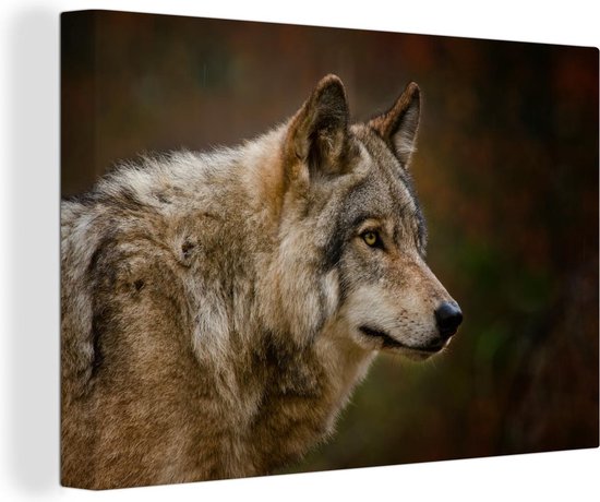 Canvas Schilderij Dieren - Wolf - Roofdieren - 120x80 cm - Wanddecoratie