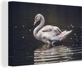 Canvas Schilderij Vogel - Zwaan - Water - 90x60 cm - Wanddecoratie