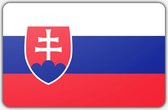 Vlag Slowakije - 150 x 225 cm - Polyester