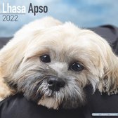 Lhasa Apsos - Lhasaterrier 2022 - 18-Monatskalender mit frei