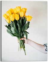 Dibond - Bos Gele Tulpen in Hand - 30x40cm Foto op Aluminium (Met Ophangsysteem)