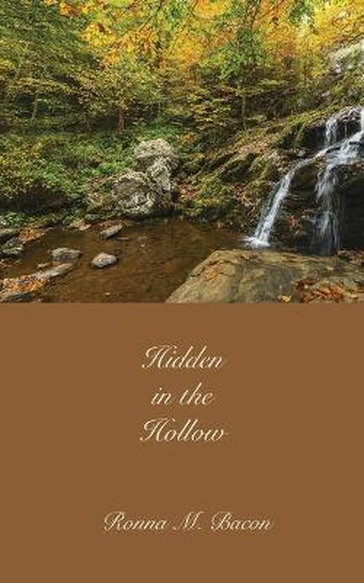 Hidden in the Hollow - cover