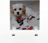 ZEP - Plexiglas / Acryl snel-wissel fotolijst Seattle voor foto formaat 10x10 incl staanders