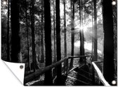 Muurdecoratie buiten De zon schijnt door een bos van torenhoge bomen op de Azoren - zwart wit - 160x120 cm - Tuindoek - Buitenposter