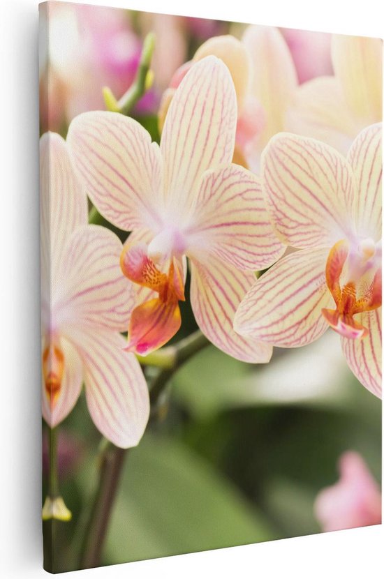 Artaza Canvas Schilderij Gestreepte Witte Orchidee Bloemen - 80x100 - Groot - Foto Op Canvas - Canvas Print