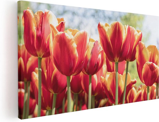 Artaza Canvas Schilderij Oranje Rode Tulpen  - 80x40 - Foto Op Canvas - Canvas Print