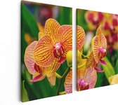 Artaza Peinture sur Toile Diptyque Fleurs d'Orchidées Rouges Jaunes - 80x60 - Photo sur Toile - Impression sur Toile