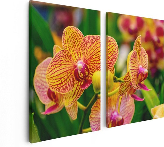 Artaza Canvas Schilderij Tweeluik Geel Rode Orchidee Bloemen - 80x60 - Foto Op Canvas - Canvas Print