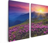 Artaza Canvas Schilderij Tweeluik Roze Rhododendron Bloemenveld - Bergen - 80x60 - Foto Op Canvas - Canvas Print
