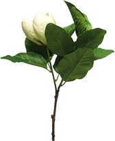 Gifts Amsterdam Kunstbloem Magnolia Grandiflora Zijde Crèmewit