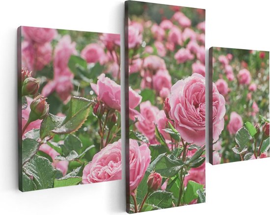 Artaza Canvas Schilderij Drieluik Roze Rozen Bloemenveld - 90x60 - Foto Op Canvas - Canvas Print