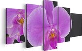 Artaza Canvas Schilderij Vijfluik Licht Paarse Orchidee - Bloem - 100x50 - Foto Op Canvas - Canvas Print