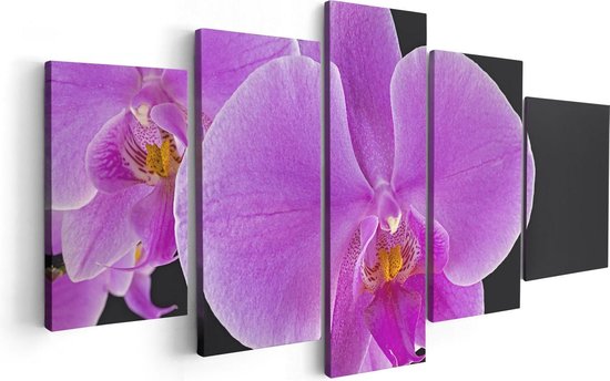 Artaza Canvas Schilderij Vijfluik Licht Paarse Orchidee - Bloem - 100x50 - Foto Op Canvas - Canvas Print