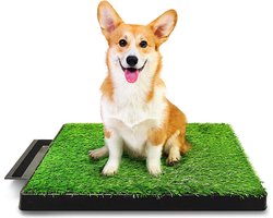 ElegaPet Indoor Huisdierentoilet met Kunstgras 63x51x6 cm - Zindelijkheidstraining voor katten & honden - Honden toilet - Katten toilet - Puppy Toilet - Kattenbak