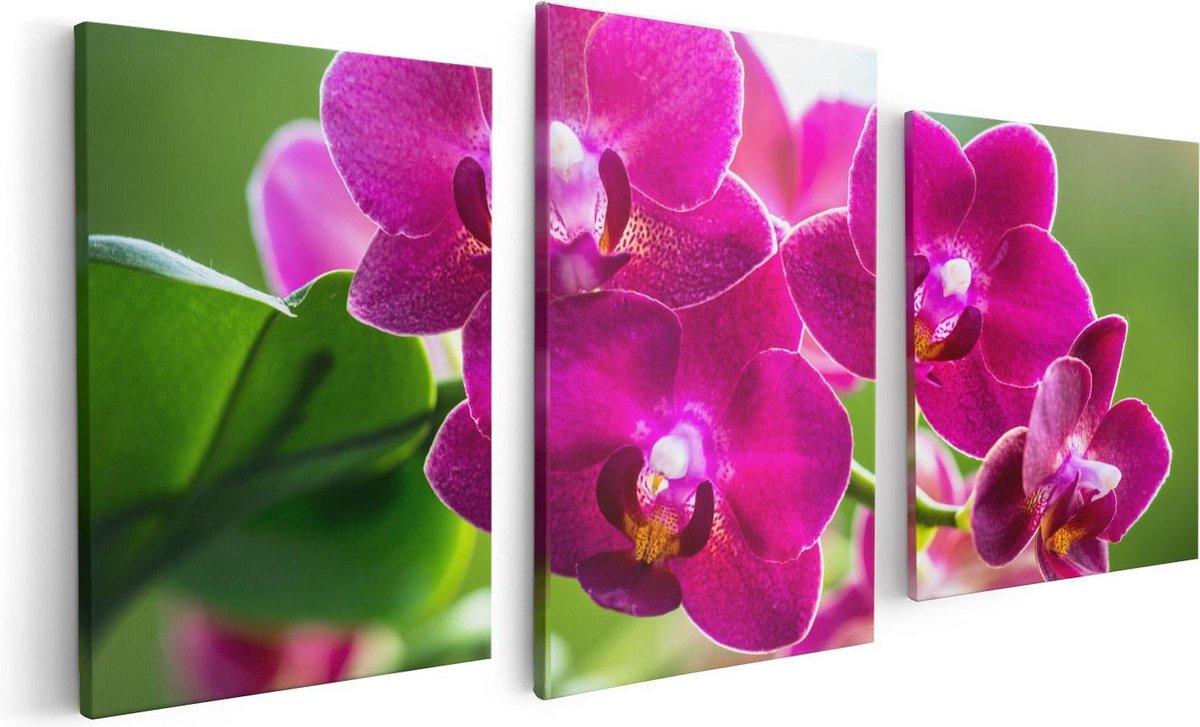 Artaza Canvas Schilderij Drieluik Roze Orchidee Bloemen - 120x60 - Foto Op Canvas - Canvas
