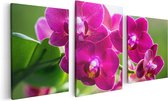 Artaza Canvas Schilderij Drieluik Roze Orchidee Bloemen - 120x60 - Foto Op Canvas - Canvas Print