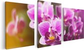Artaza Canvas Schilderij Drieluik Paarse Orchidee Bloemen - 120x60 - Foto Op Canvas - Canvas Print